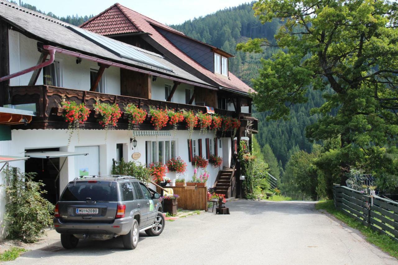 Haus Mauken - Appartments Mit Panoramablick Мурау Экстерьер фото